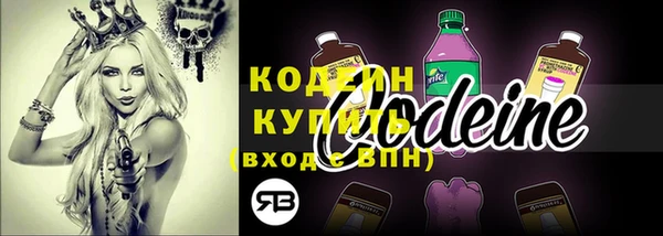 амф Пестово