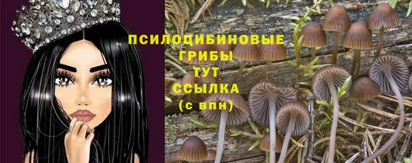 амф Пестово