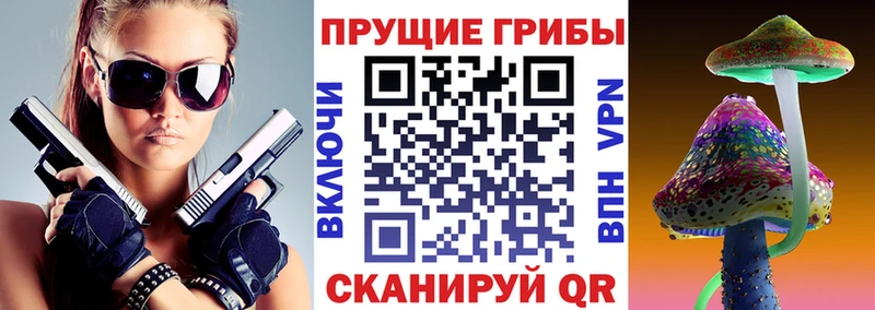 Галлюциногенные грибы Cubensis  Владикавказ 