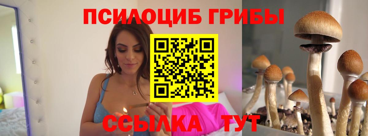 Псилоцибиновые грибы мицелий Владикавказ