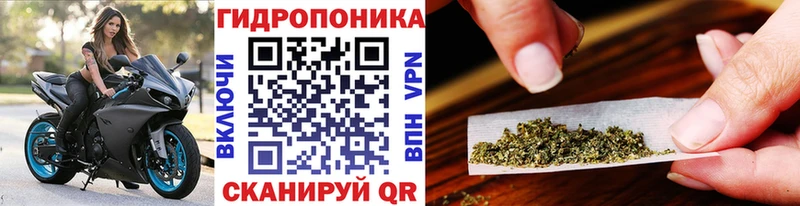 Бошки марихуана LSD WEED  купить наркоту  Владикавказ 
